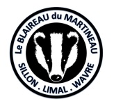 le-blaireau-du-martineau-noir